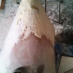 port nose first bog 1