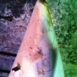 stb nose second bog 2