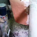 stb nose second bog 4